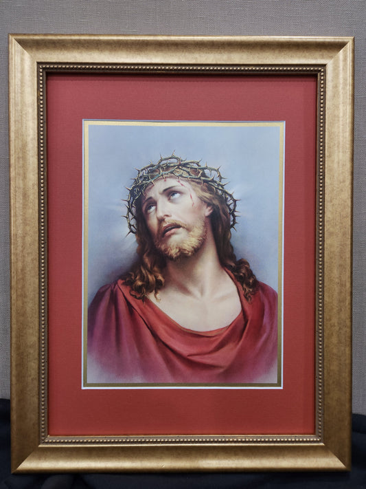 Jesus with crown of thorns framed picture
