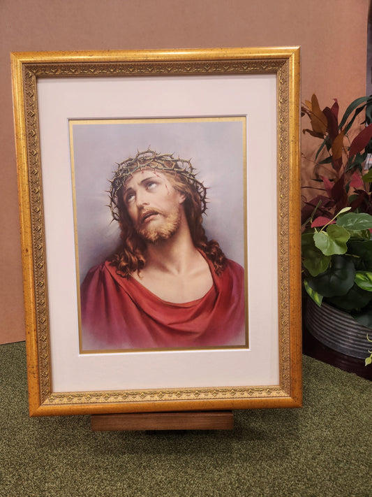 Jesus with crown of thorns framed picture