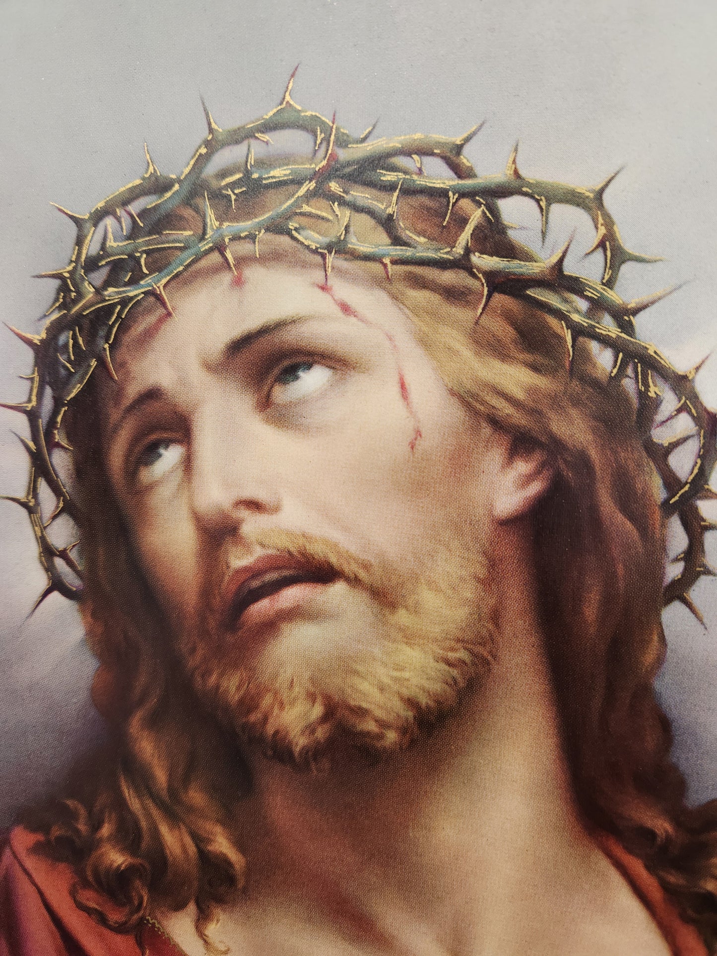 Jesus with crown of thorns framed picture