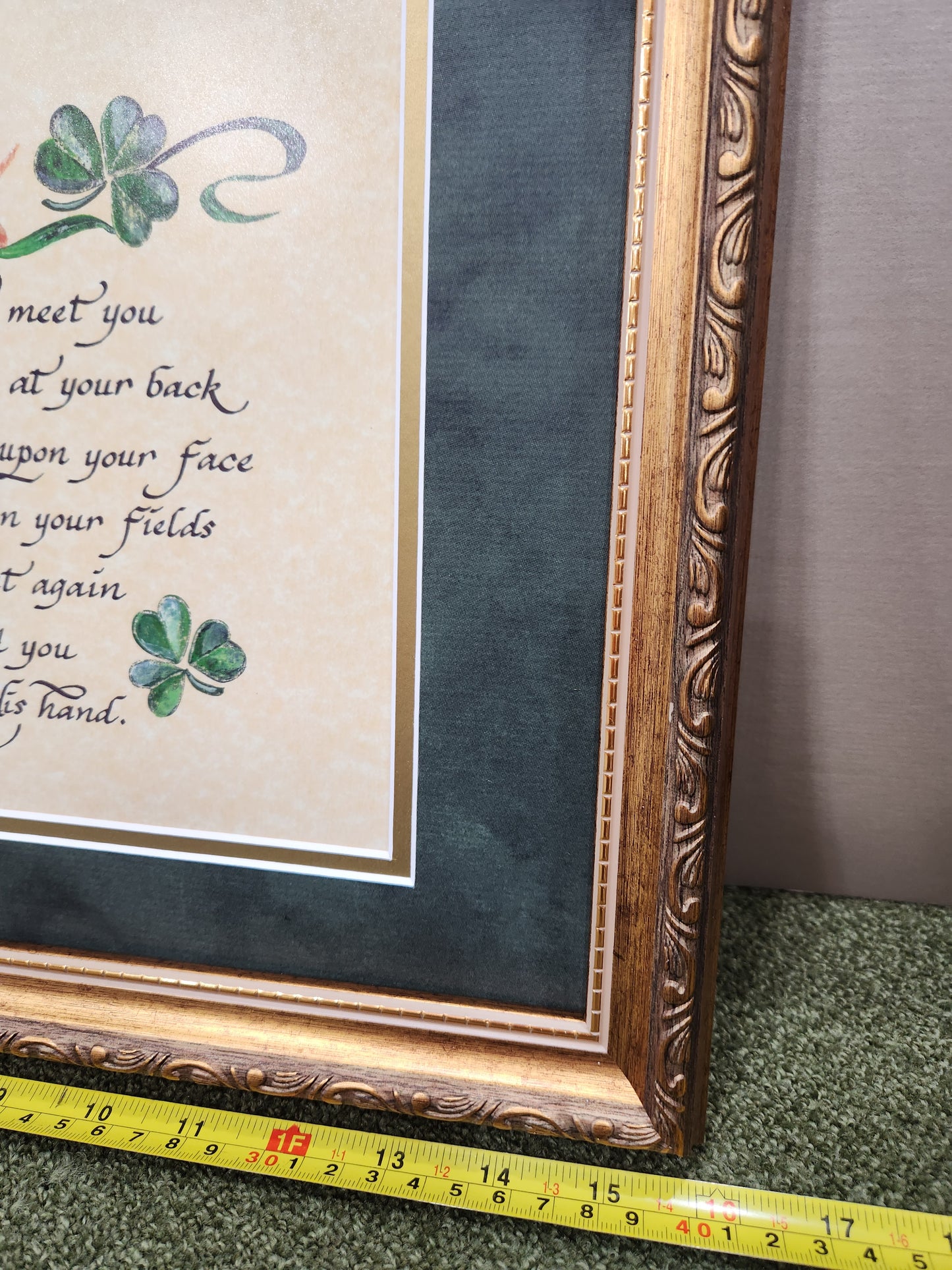 Irish Blessing May the road rise to meet you framed verse