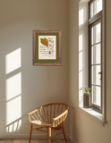 Padre Pio Don't Worry framed verse