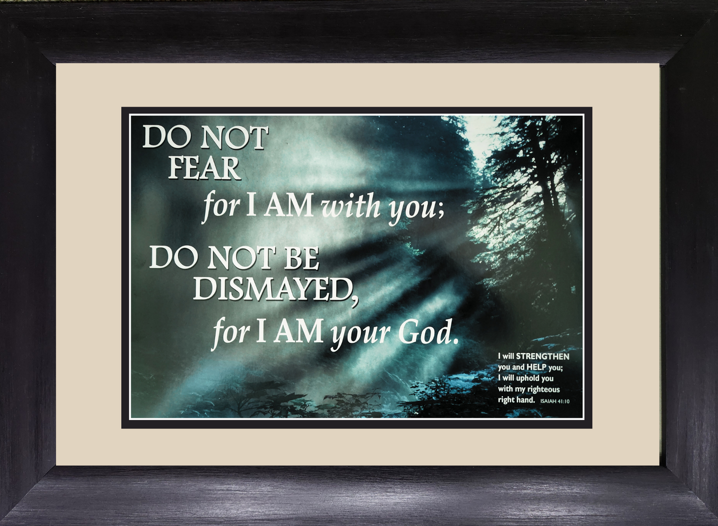 Do Not Fear framed Scripture verse