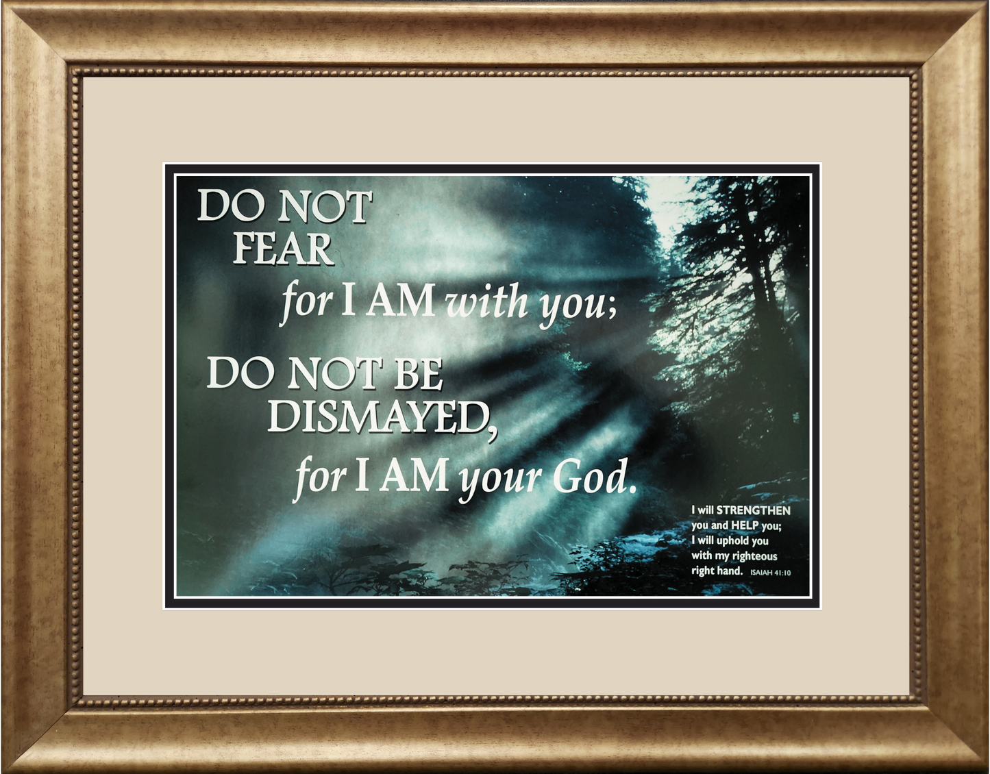 Do Not Fear framed Scripture verse